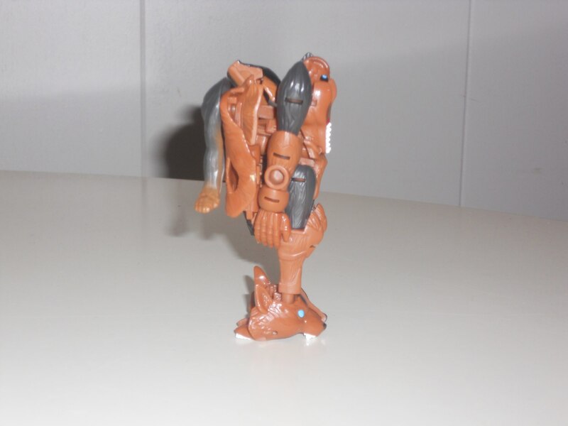 Image Of Core Class Tasmania Kid In Hand From Transformers Legacy United  (9 of 28)